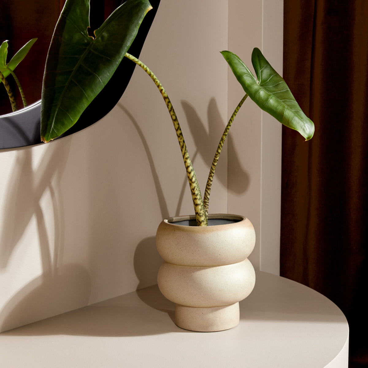 Billie Planter Medium - Dune