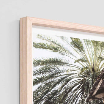 Palm Window Framed Print